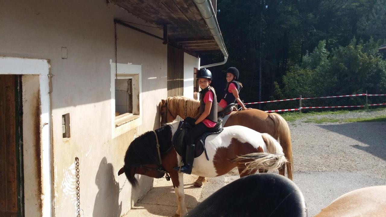 Ferienwohnung Moitz Heimschuh Екстер'єр фото